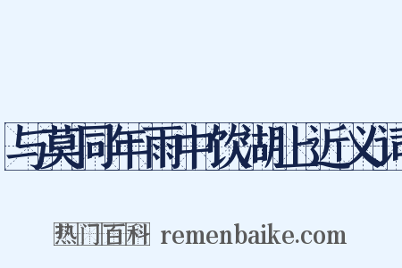与莫同年雨中饮湖上近义词是什么意思的图片
